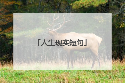 人生现实短句