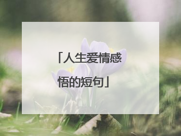 人生爱情感悟的短句