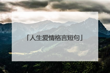 人生爱情格言短句