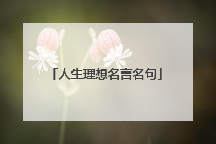人生理想名言名句