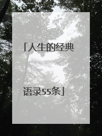人生的经典语录55条