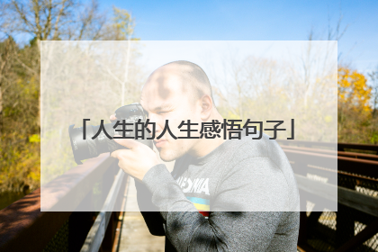 人生的人生感悟句子