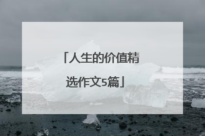 人生的价值精选作文5篇