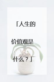 人生的价值观是什么？