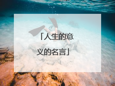 人生的意义的名言