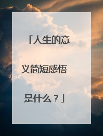 人生的意义简短感悟是什么?