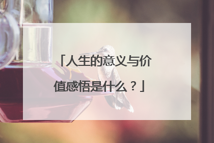 人生的意义与价值感悟是什么?