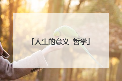 人生的意义 哲学
