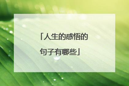 人生的感悟的句子有哪些