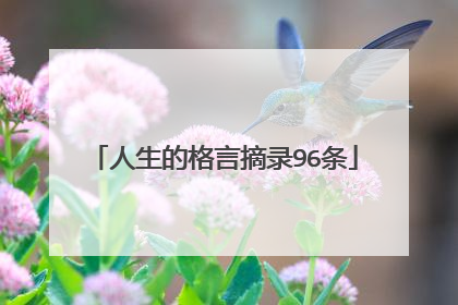 人生的格言摘录96条