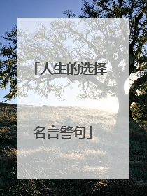 人生的选择名言警句