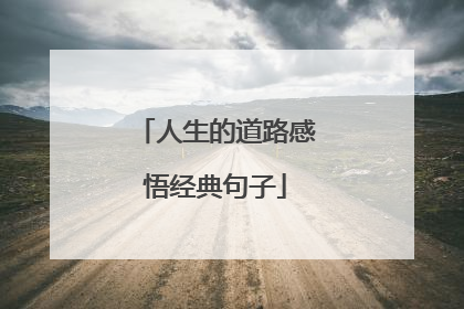 人生的道路感悟经典句子