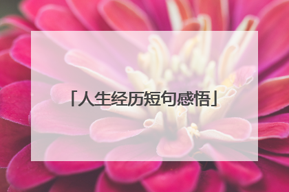 人生经历短句感悟