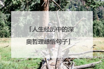 人生经历中的深奥哲理感悟句子