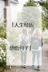 人生经历感悟句子