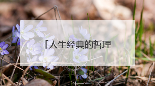 人生经典的哲理语录100条