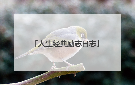 人生经典励志日志