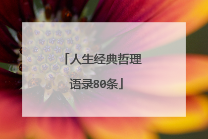 人生经典哲理语录80条