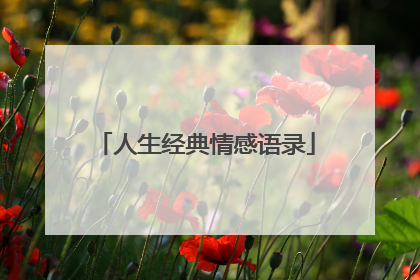 人生经典情感语录