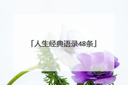 人生经典语录48条