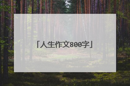 人生作文800字