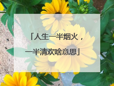人生一半烟火,一半清欢啥意思
