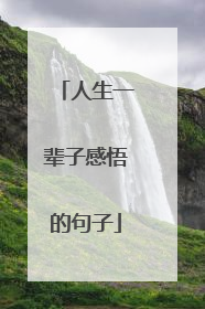 人生一辈子感悟的句子