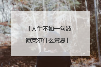 人生不如一句波德莱尔什么意思