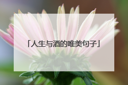 人生与酒的唯美句子