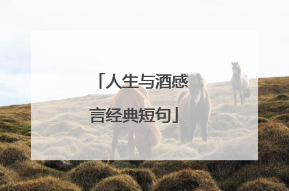 人生与酒感言经典短句