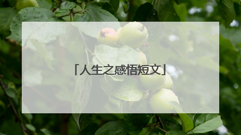 人生之感悟短文