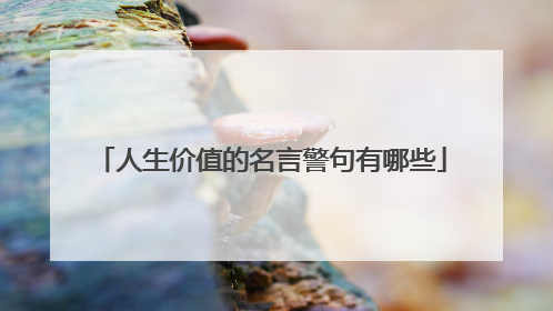 人生价值的名言警句有哪些