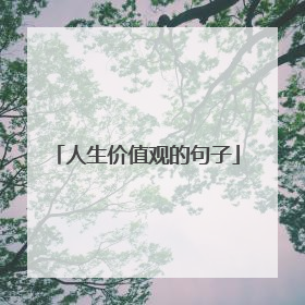 人生价值观的句子