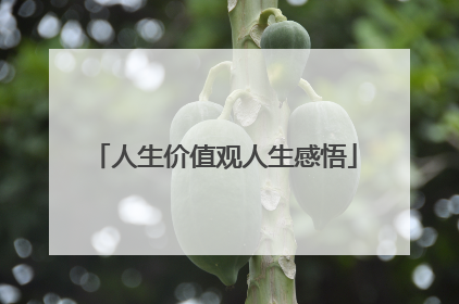 人生价值观人生感悟