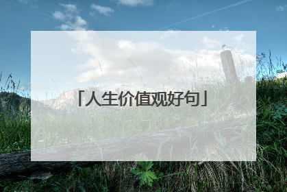 人生价值观好句