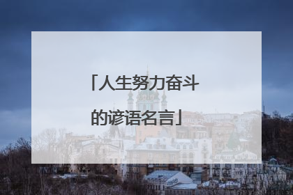 人生努力奋斗的谚语名言