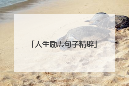 人生励志句子精辟