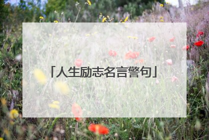 人生励志名言警句
