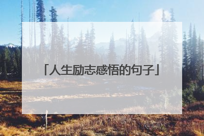 人生励志感悟的句子