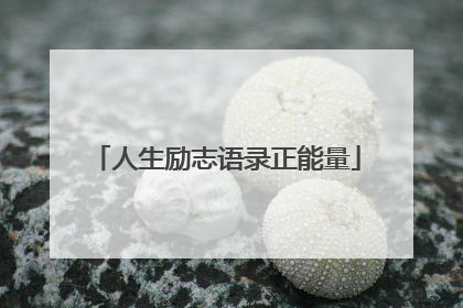 人生励志语录正能量