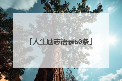人生励志语录60条