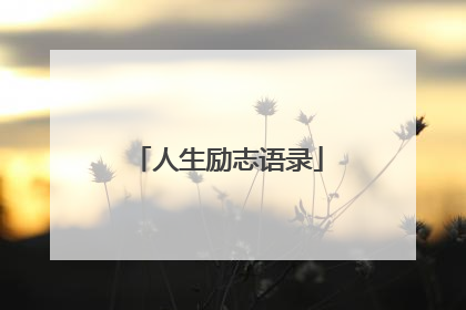 人生励志语录