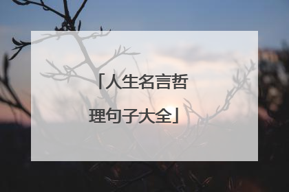 人生名言哲理句子大全