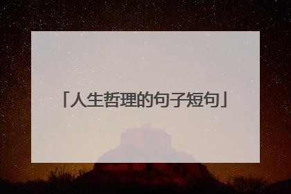 人生哲理的句子短句