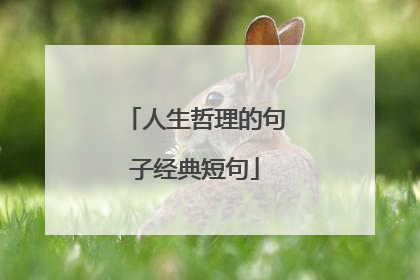 人生哲理的句子经典短句