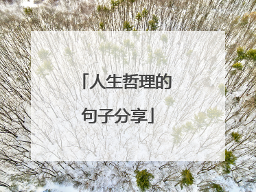 人生哲理的句子分享