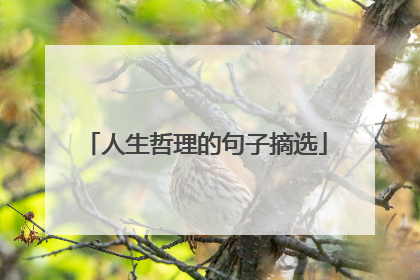 人生哲理的句子摘选