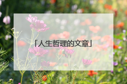人生哲理的文章