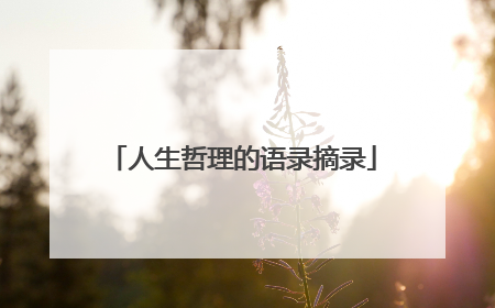 人生哲理的语录摘录