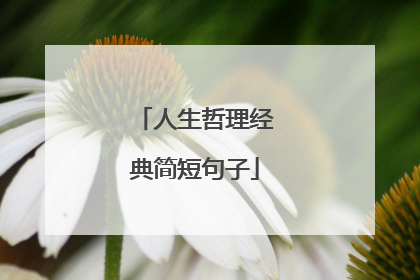 人生哲理经典简短句子